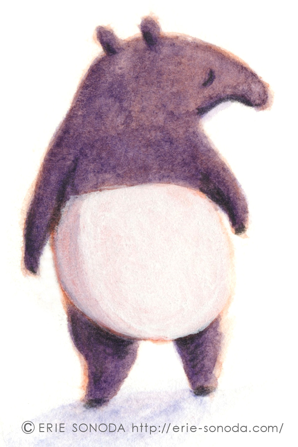 (作家さんのお名前)の画像