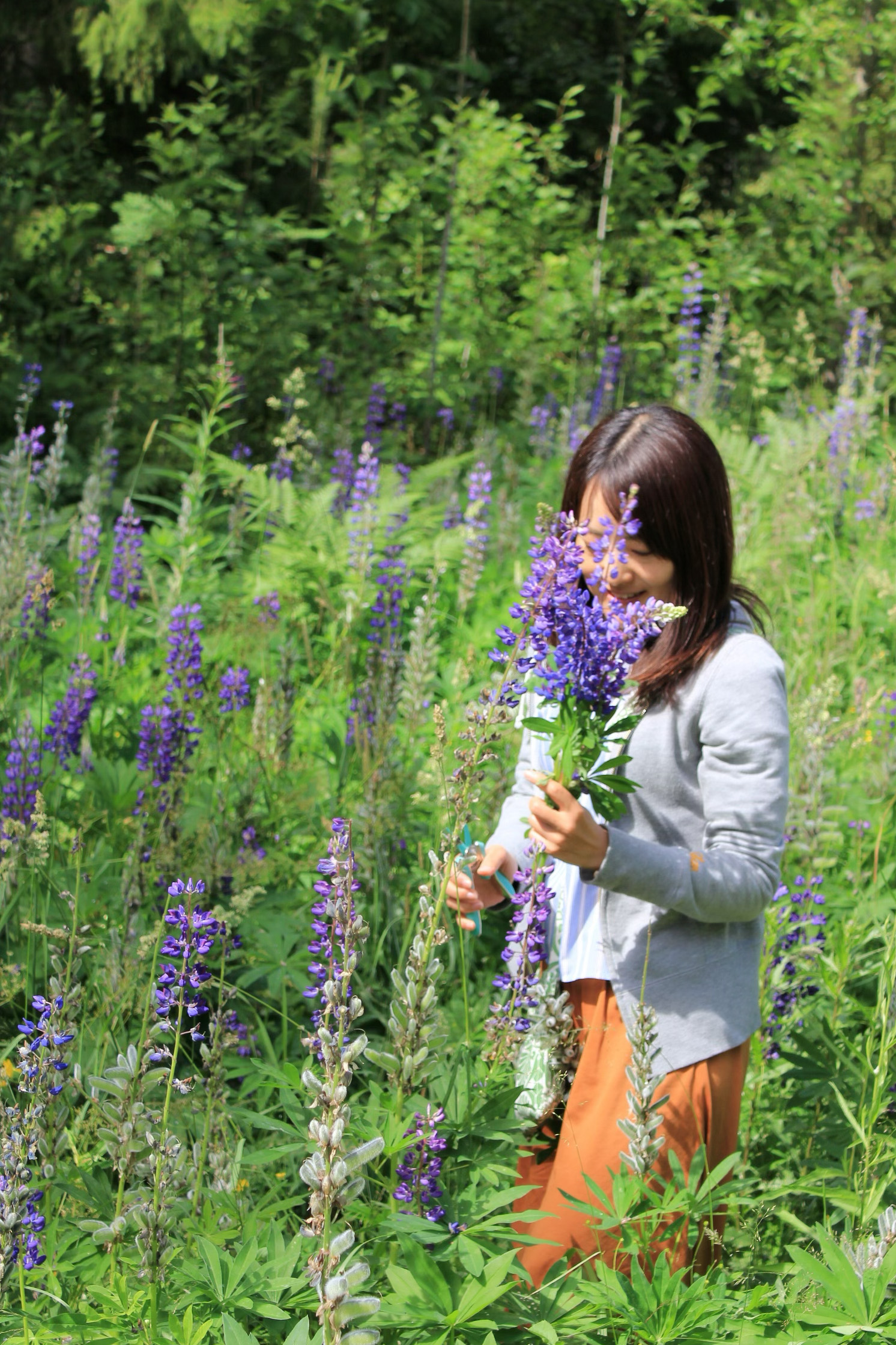 (作家さんのお名前)の画像