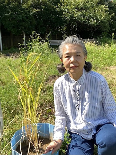 (作家さんのお名前)の画像