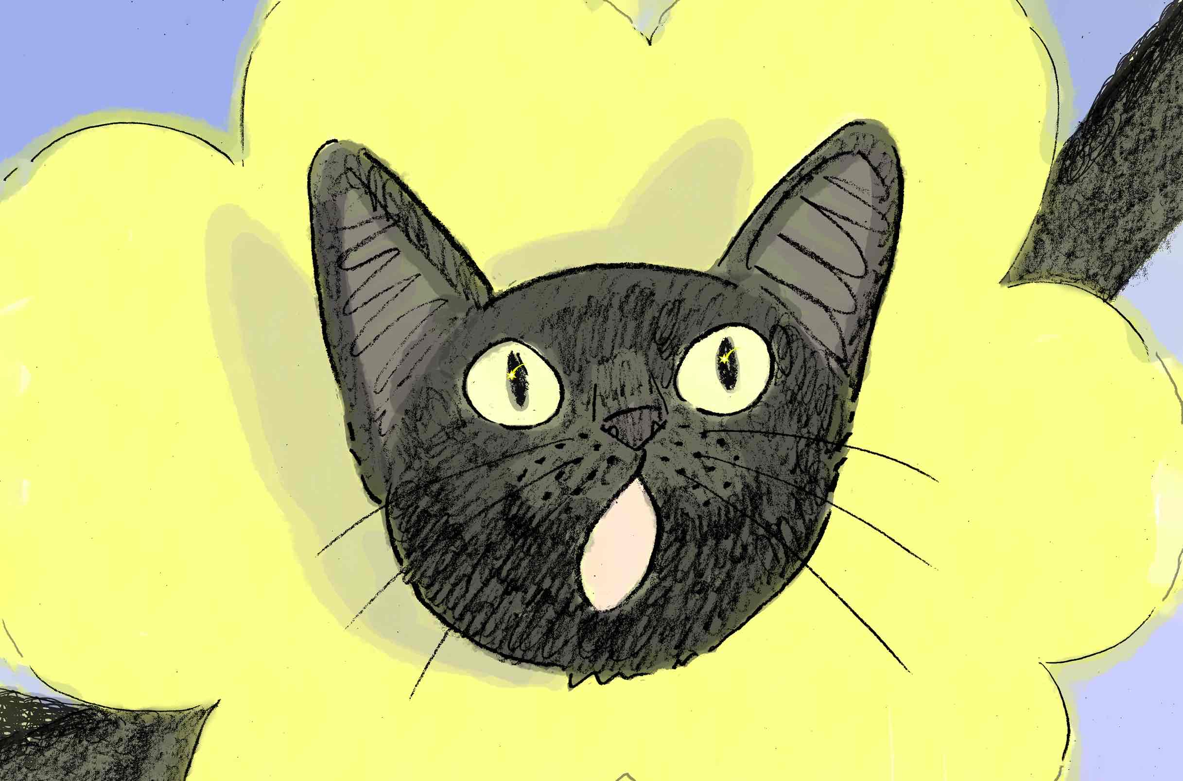 （作品名）の画像