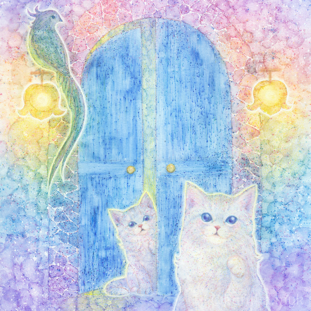 （空風花（くふか/kufuka））の画像