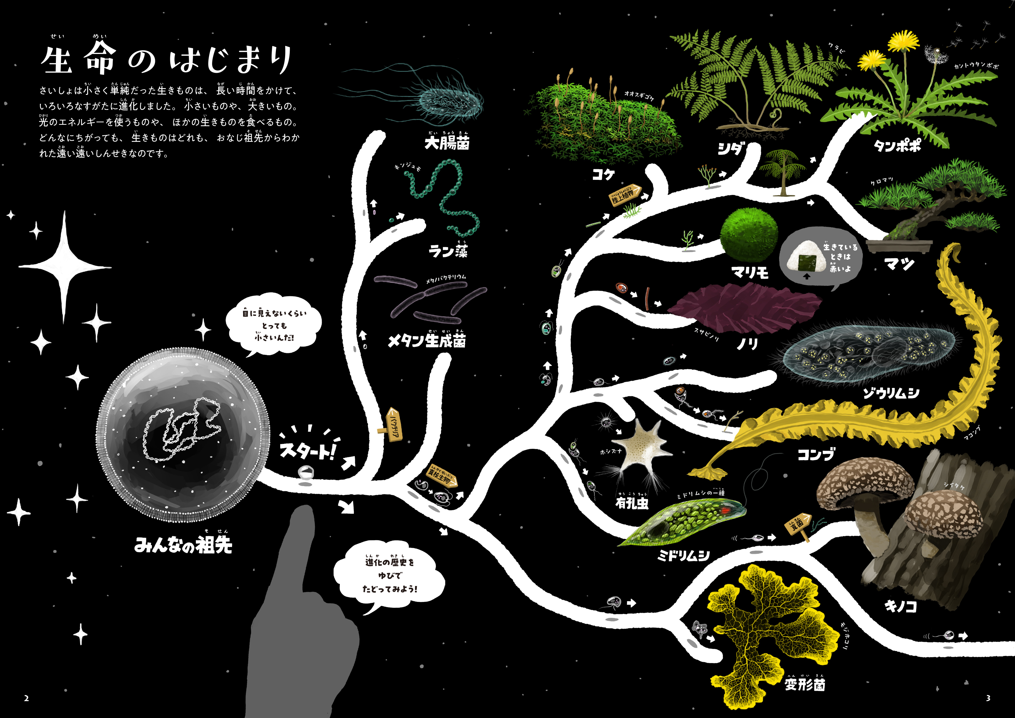 （作品名）の画像