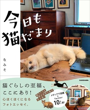書籍タイトル