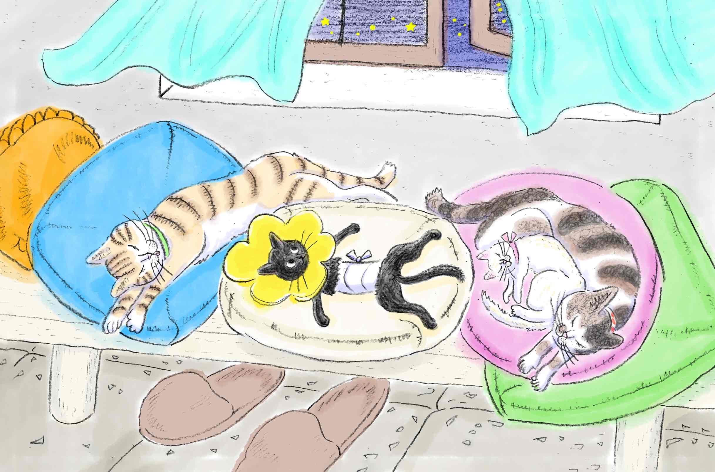 （作品名）の画像